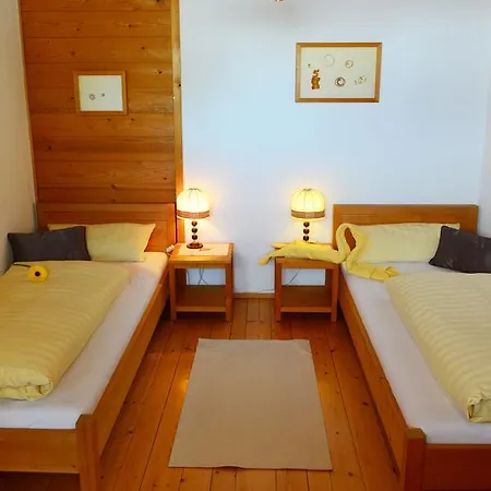 Apartment Ferienwohnung Delvai